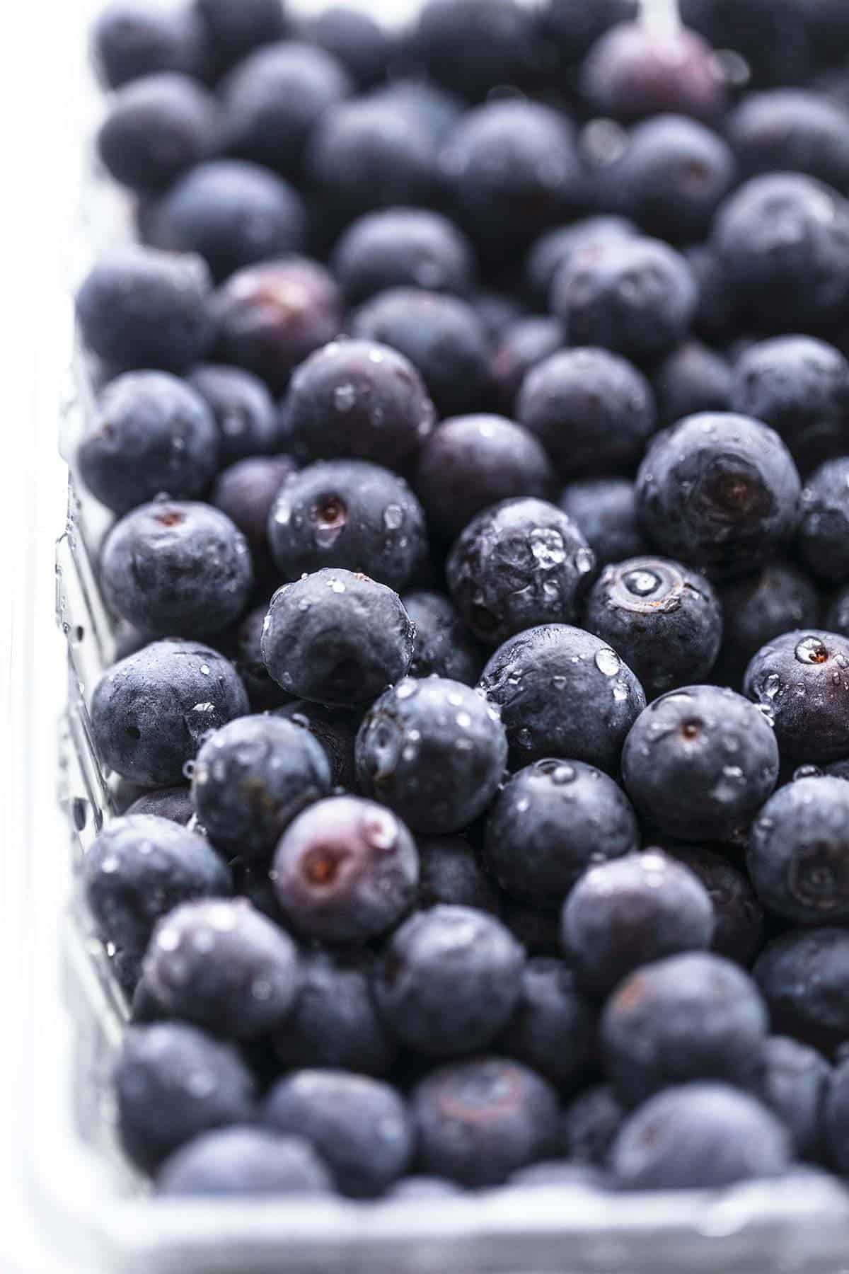 fresh blueberries up close