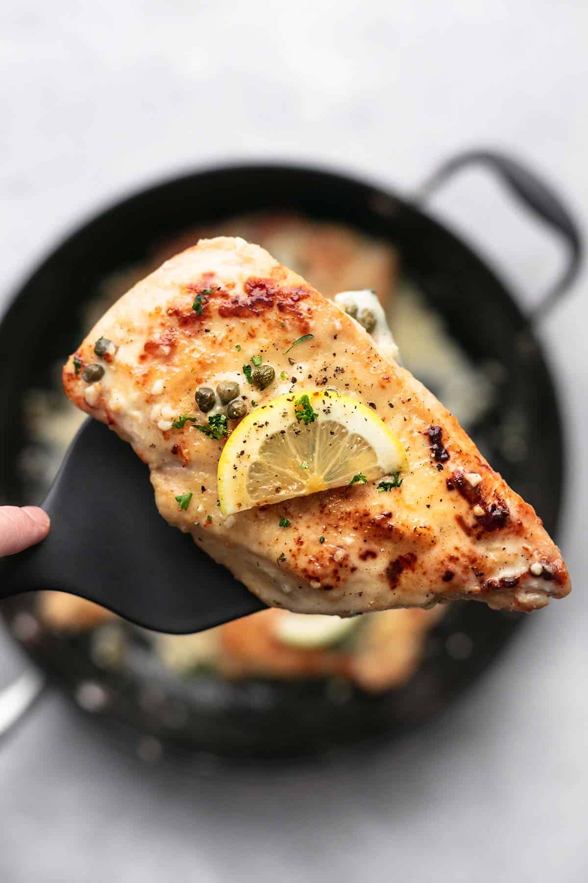 top view of a piece of creamy lemon chicken piccata on a spatula being held up above a skillet of more chicken.