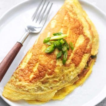 up close japanese rice omelet