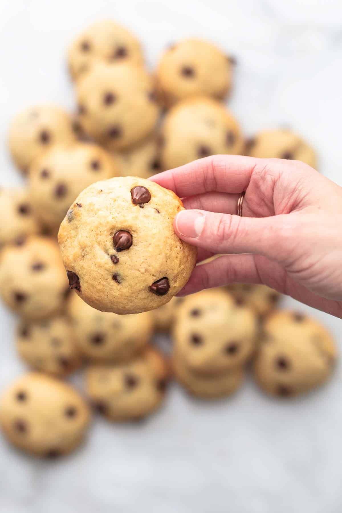 overhead hand holding a single cookie above more cookies