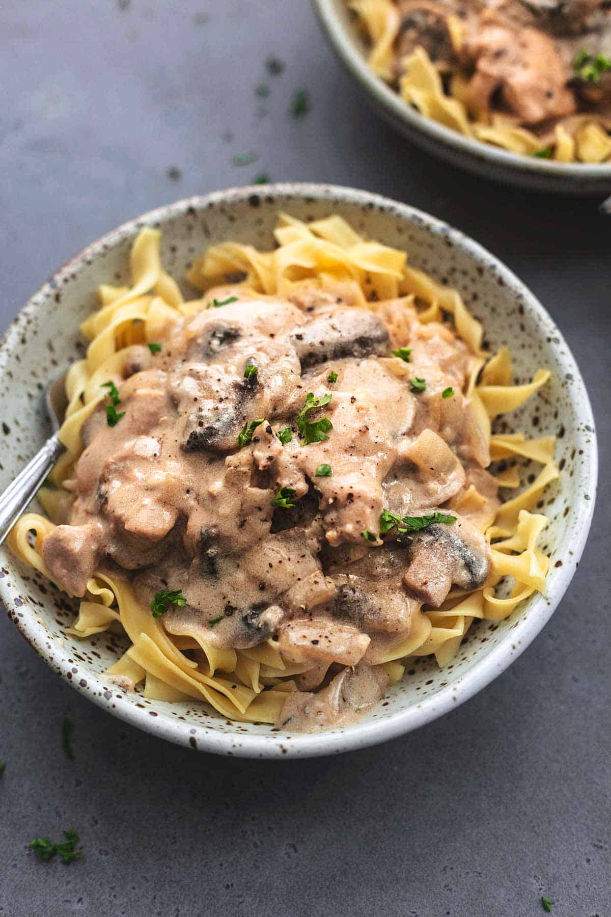 chicken in brown sauce with noddles in bowl with fork