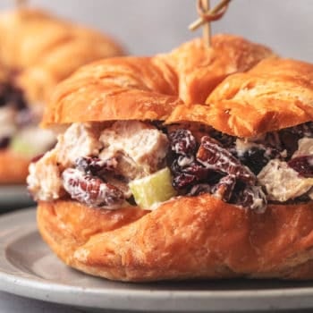 chicken salad on croissant closeup