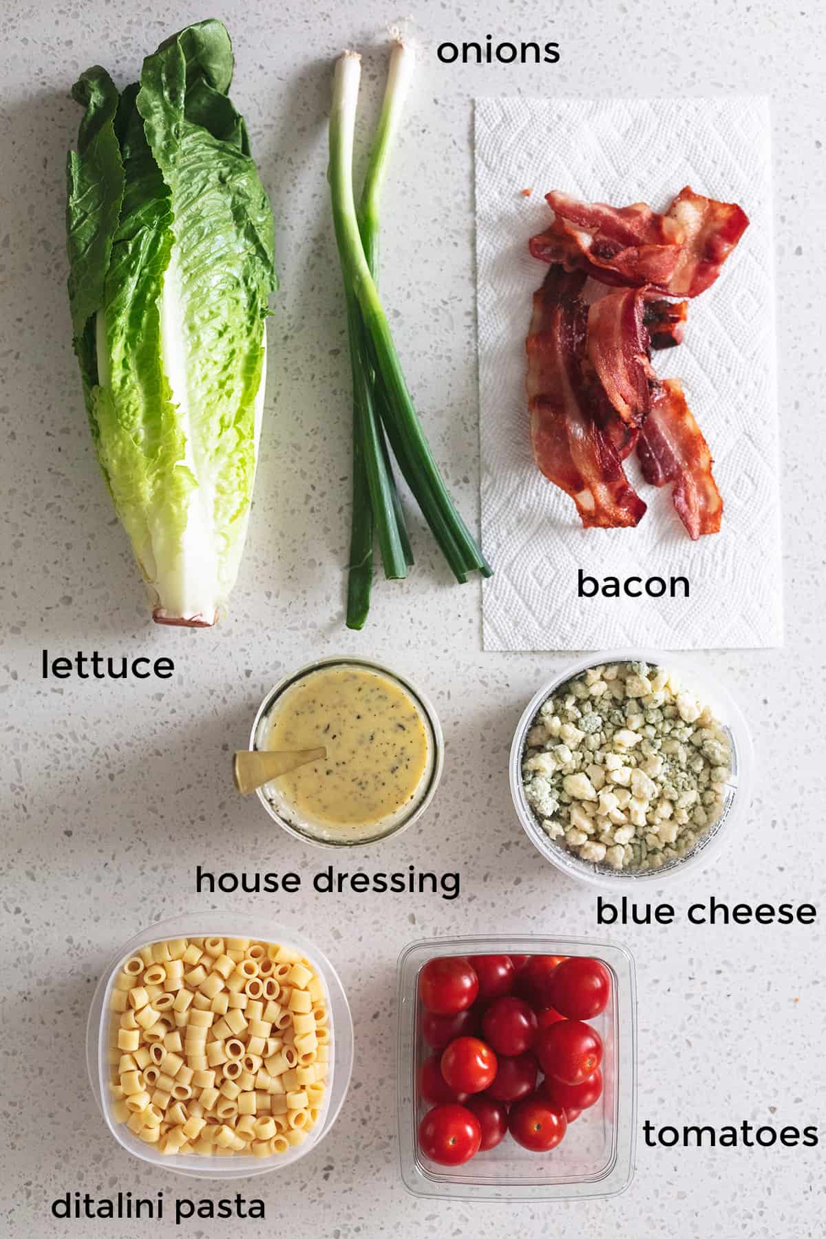 https://www.lecremedelacrumb.com/wp-content/uploads/2022/06/portillos-salad-ingredients-2.jpg