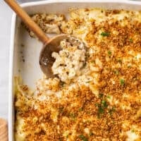 pan of baked macaroni and cheese with breadcrumbs