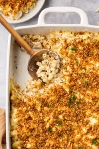 pan of baked macaroni and cheese with breadcrumbs