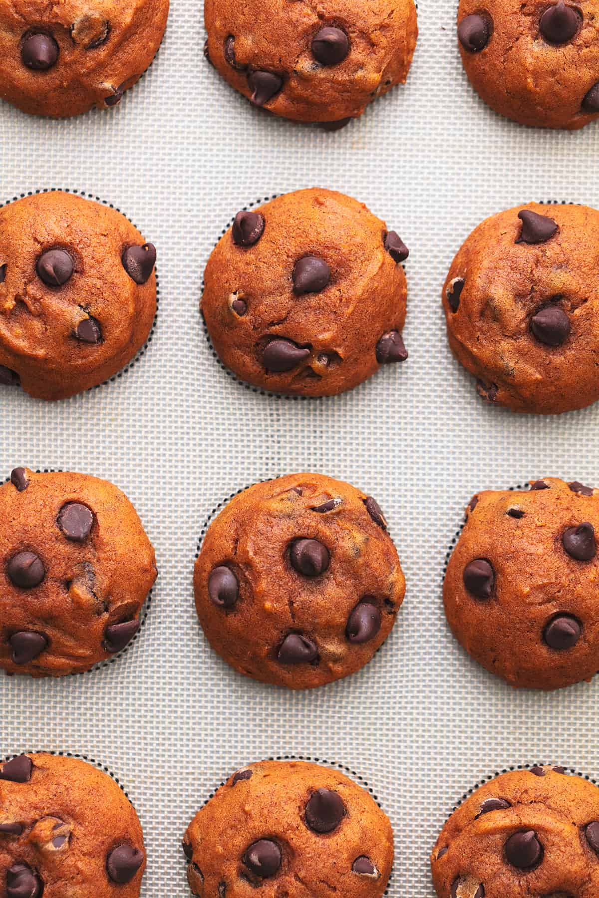 a dozen pumpkin chocolate chip cookies on a baking sheet