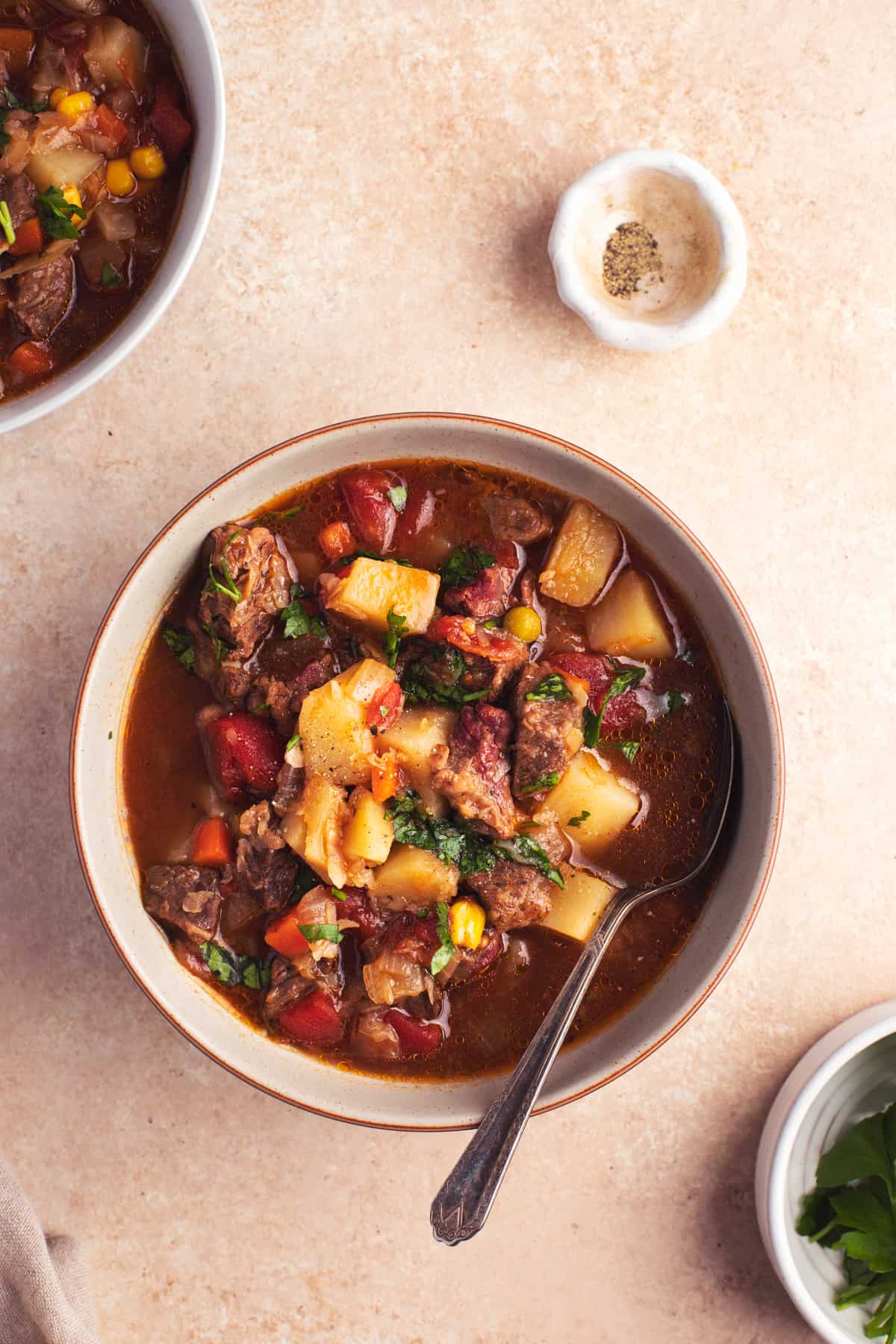 overhead view of bowl of vegetable soup with beef