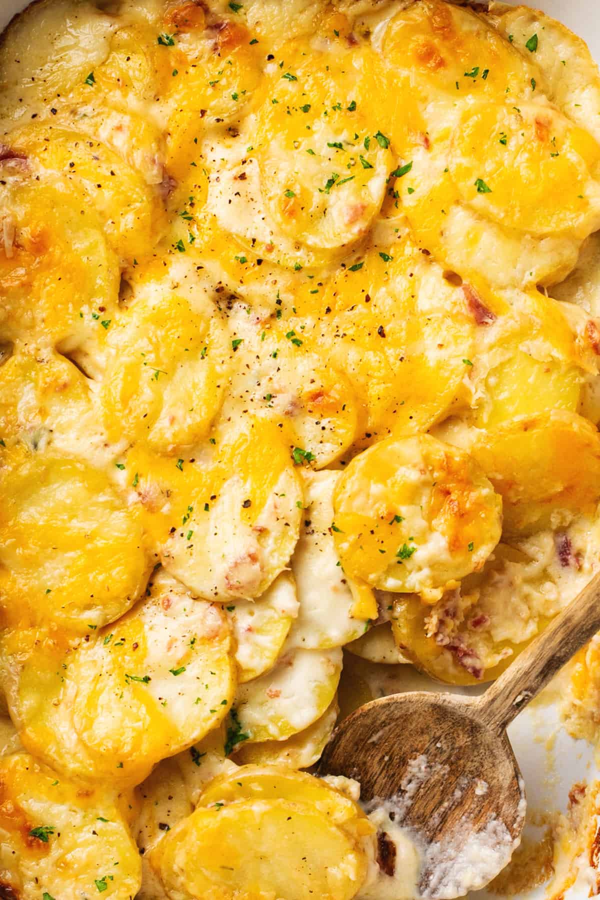 potatoes with cheese in baking dish with serving spoon