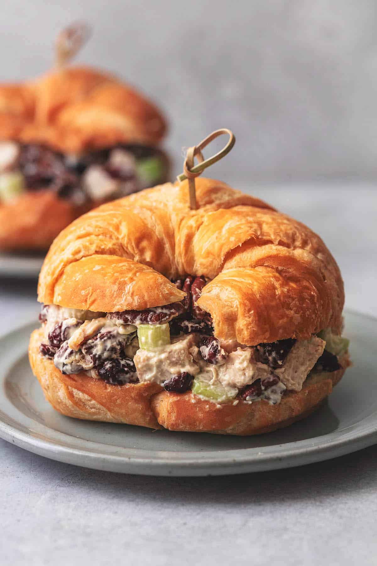 Cranberry Pecan Turkey Salad - 34
