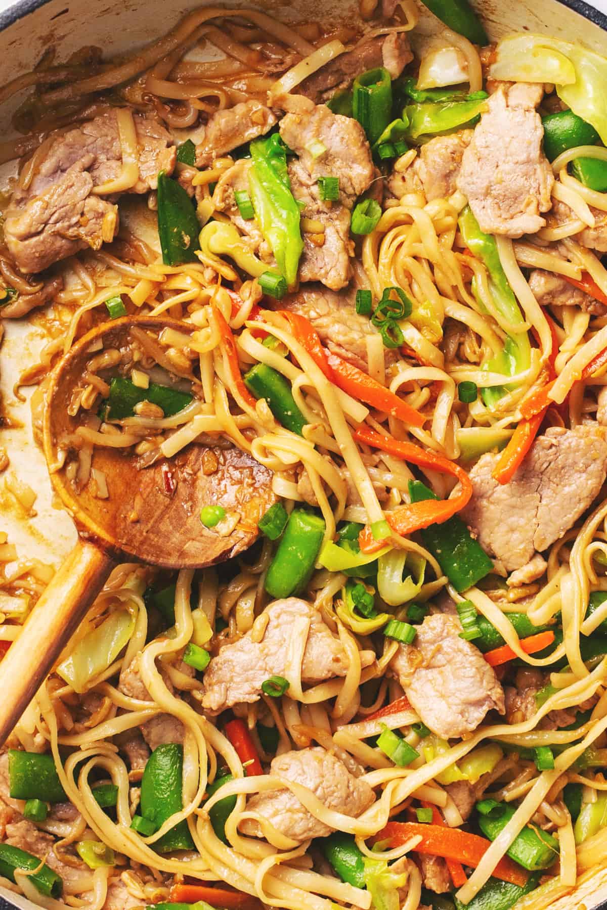 pork lo mein with serving spoon