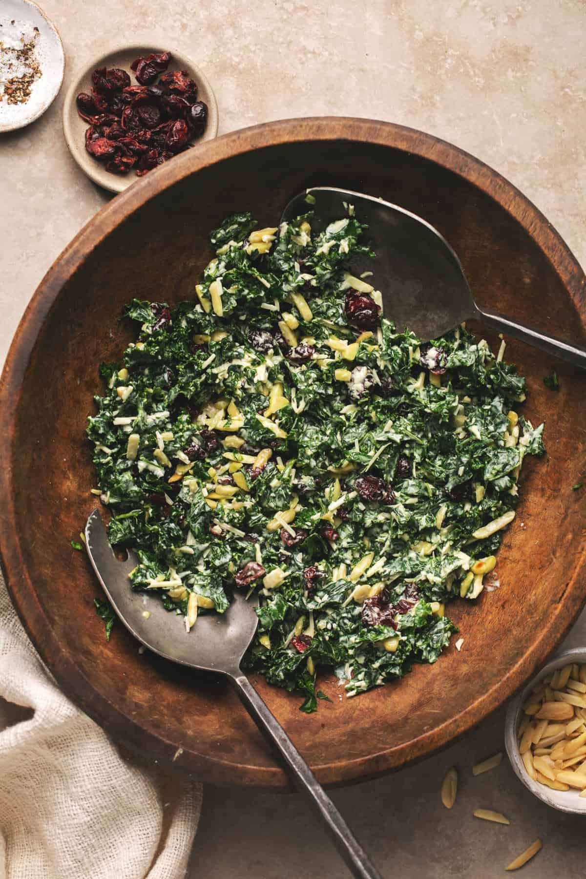bowl of salad with kale and cranberries tossed with dressing