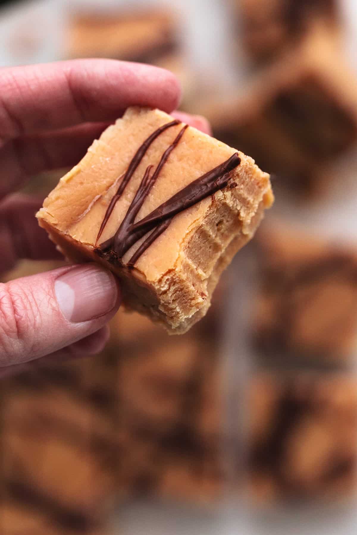 hand holding piece of fudge with bite taken out