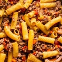 up close rigatoni with beef and tomatoes