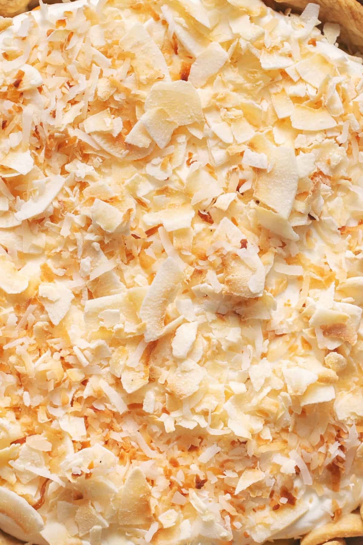 up close toasted coconut flakes