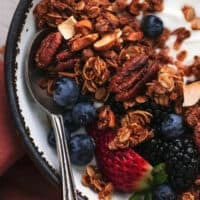 up close spoon in bowl with granola and berries