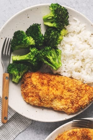 plate of broccoli, rice, chicken breast, and fork