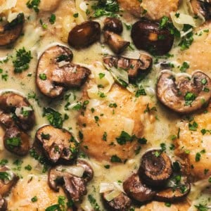 chicken thighs in garlic mushroom cream sauce