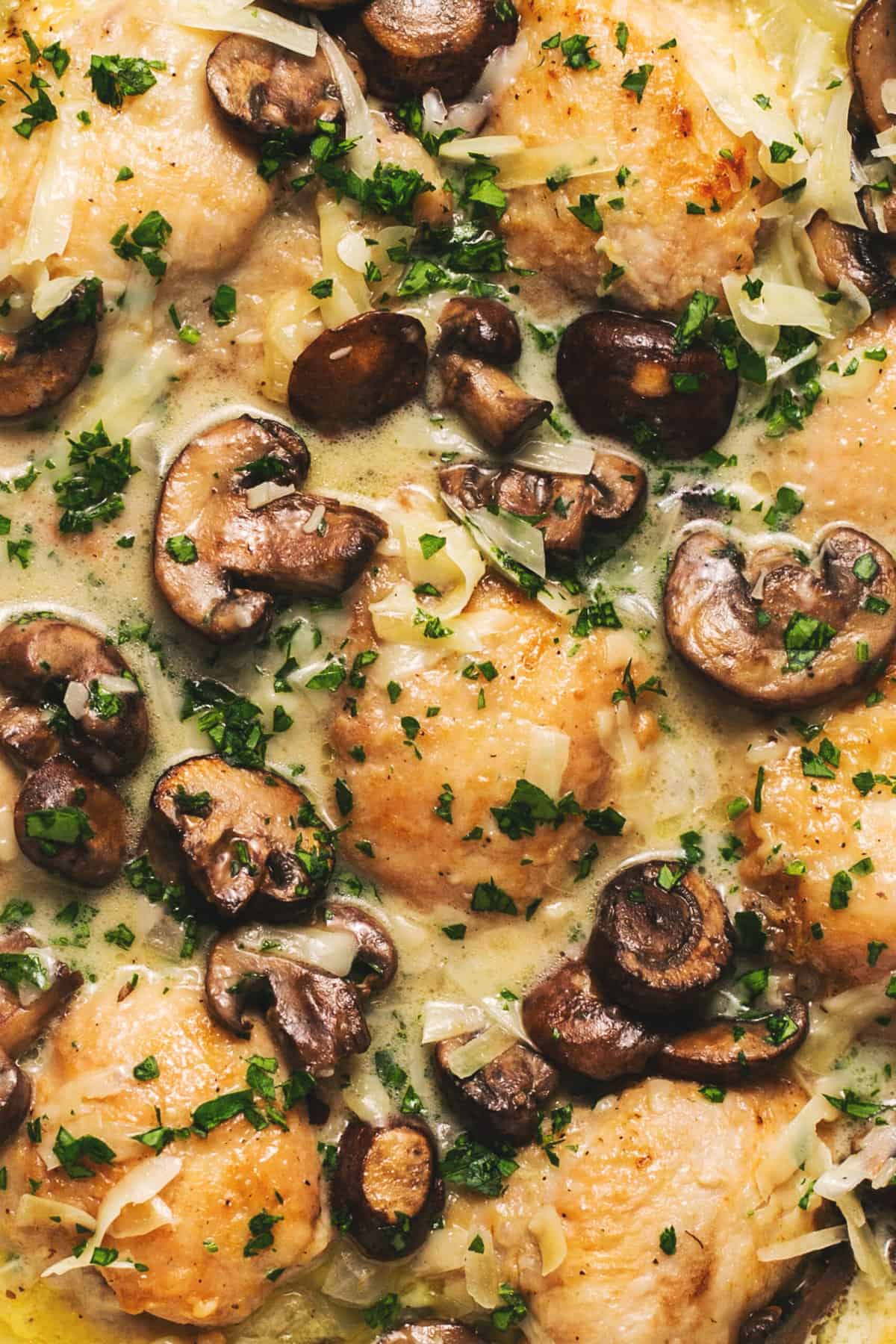 chicken thighs in garlic mushroom cream sauce