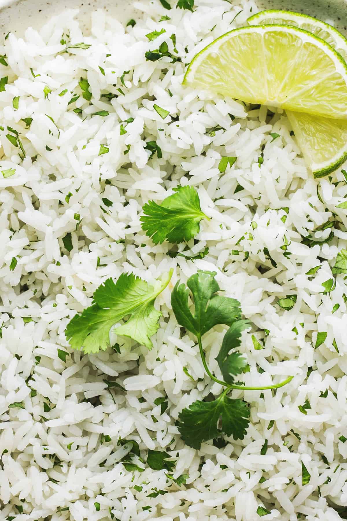 up close cilantro lime rice