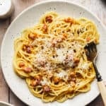 one plate of spaghetti carbonara noodles with pancetta and parmesan cheese with fork in dish