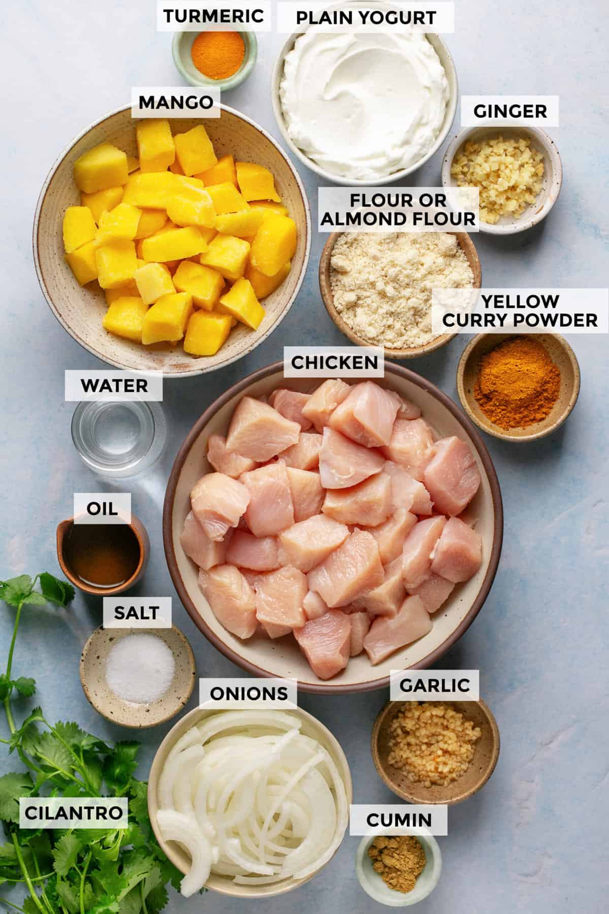 ingredients for mango chicken curry recipe