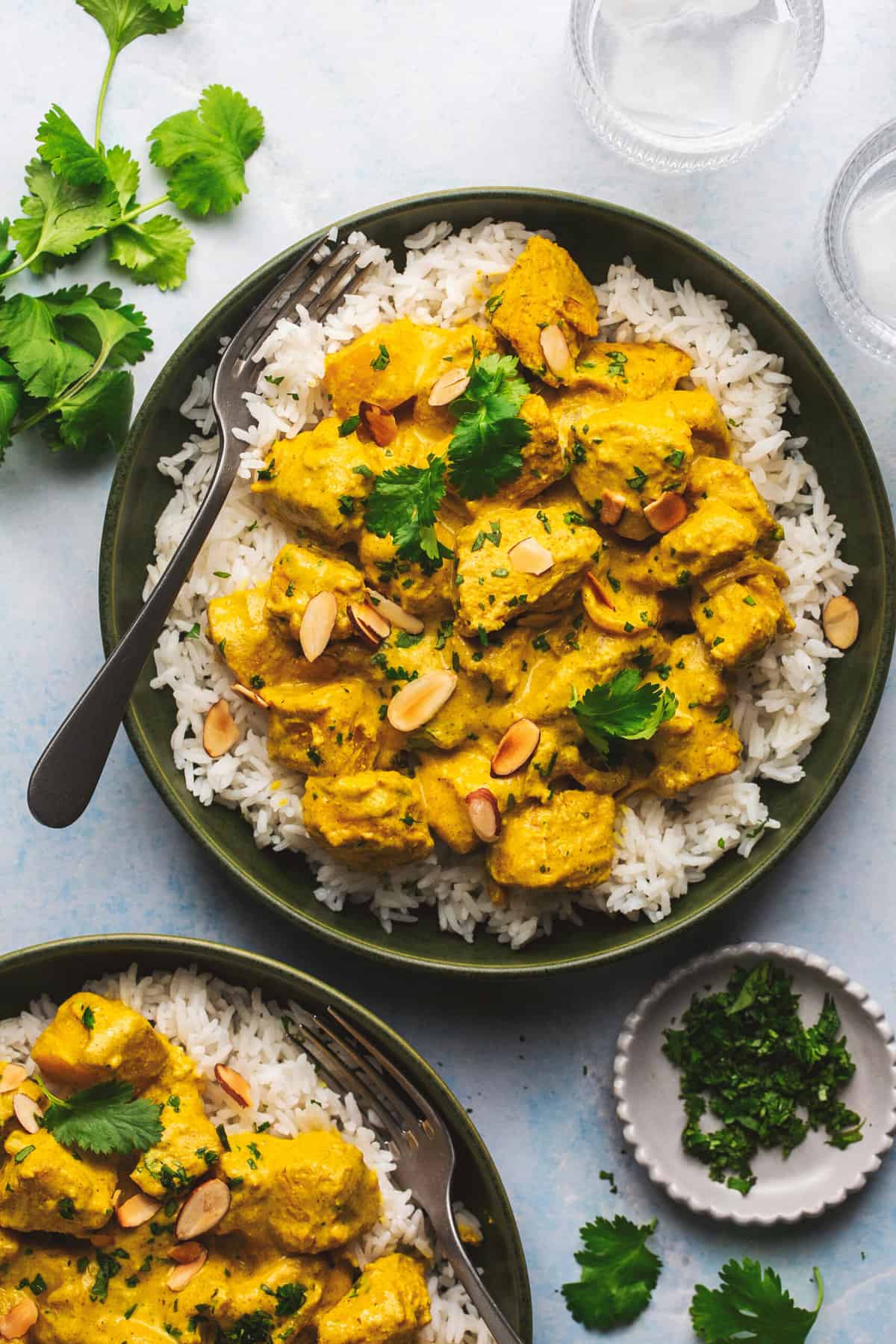 bowl of rice and chicken curry with cilantro and fork