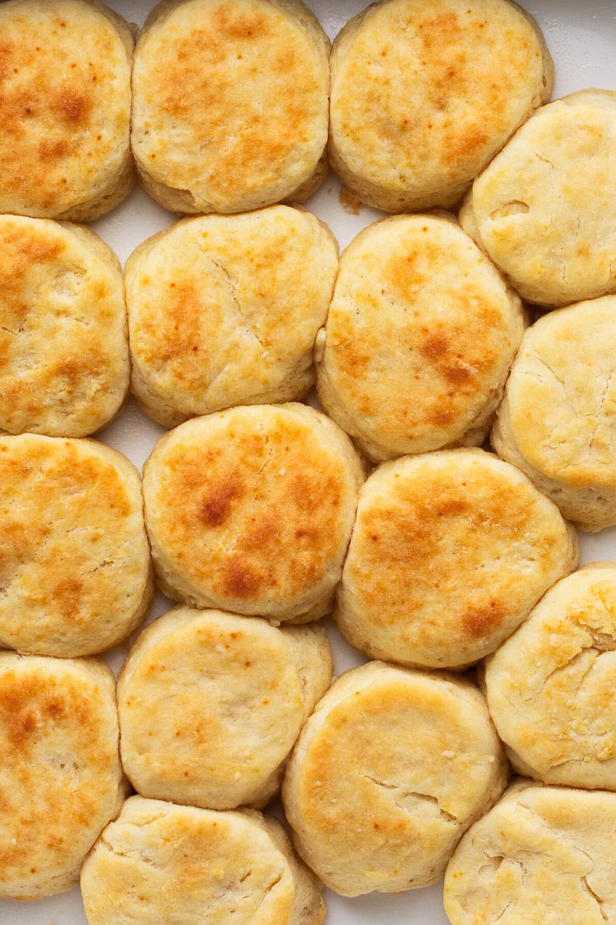 Knott s Berry Farm Buttermilk Biscuits - 81