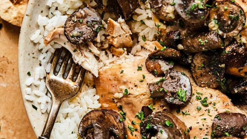 chicken digging into chicken and rice with creamy mushroom sauce