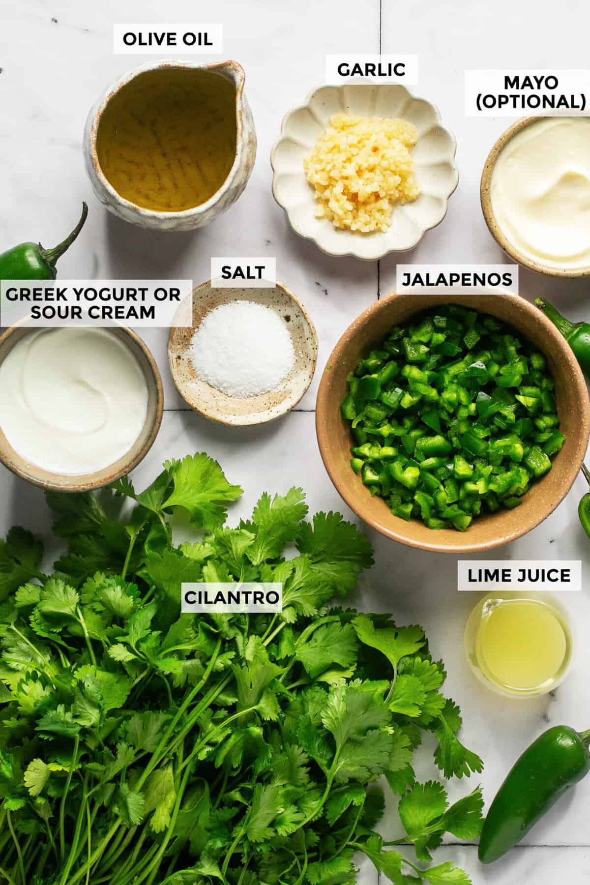 ingredients for creamy jalapeno sauce.